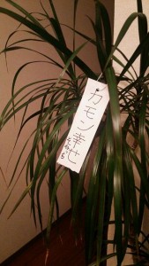 願い事
